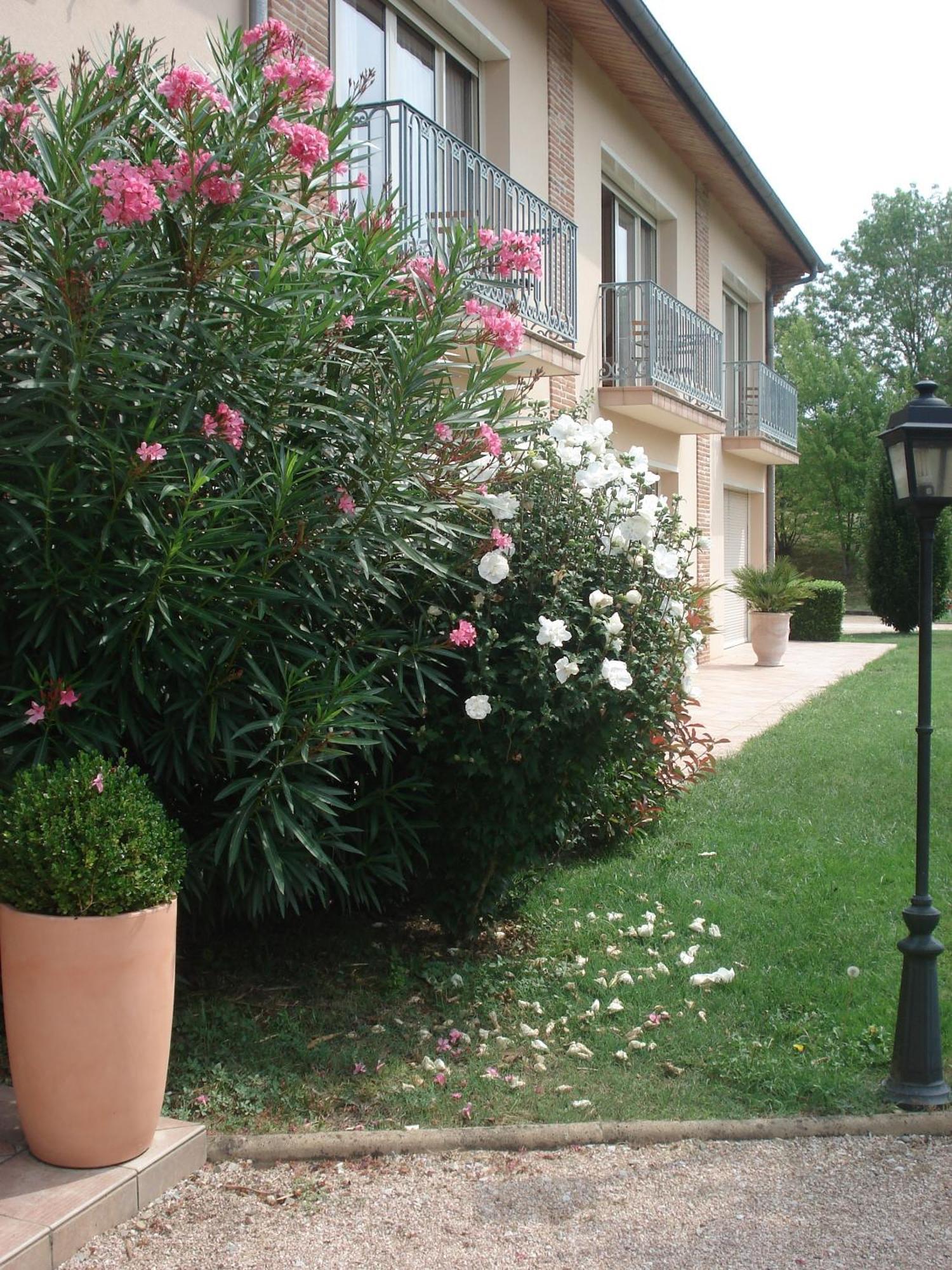 L'Oustal Du Lauragais Hotell Labastide-Beauvoir Eksteriør bilde